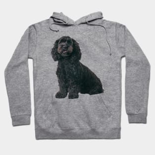 Cockapoo Dog Hoodie